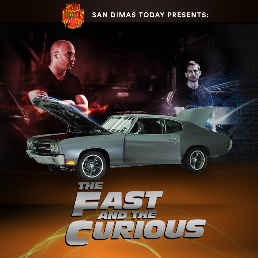 The Fast and The Curious: Fast & Curious
